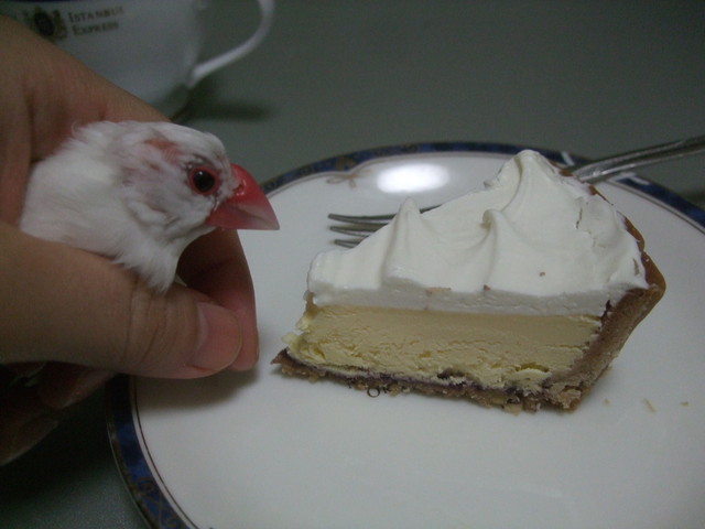 北海道のお土産と言えば ふらの雪どけチーズケーキ かな By 小藤太 菓子司 新谷 富良野 和菓子 食べログ