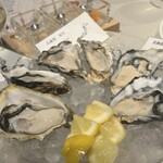 Oysterbar & Wine BELON - 