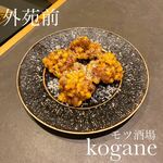 モツ酒場 kogane - 