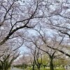 Fuchu art museum cafe - 青空でないのが残念でした