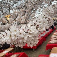 京料理 先斗町 富美家 - 