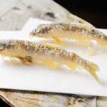 天富良 天露 - 稚鮎（ちあゆ）