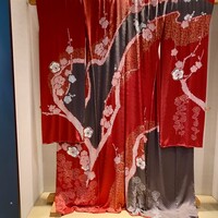 京都つゆしゃぶCHIRIRI 銀座京橋店 - 