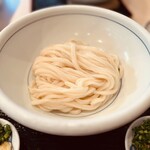 手打うどん かとう - 生醤油うどん冷大　