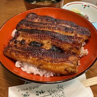 吉寅 -  吉寅 -