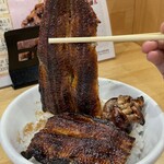 昼だけうなぎ屋 大須店 - 春の肝入りうな丼特上リフト
