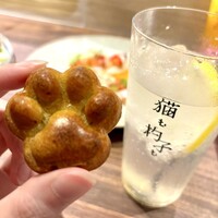 恵比寿ビストロ 猫も杓子も - 前菜