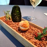 241514477 - フィンガーフード