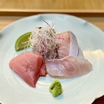 佐とう - 本鮪・ブリ・平鯛