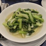 しんせらてぃ - 