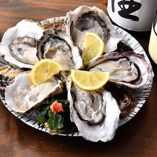 [Oyster] Delivered directly from Toyosu! Enjoy them raw, fried, or in Ajillo style ♪