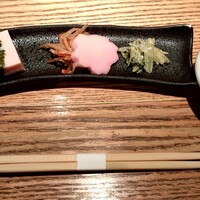 KOiBUMi - 