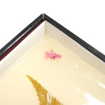 吉野本葛 天極堂 - 葛もち プレーンには桜の花と葉の塩漬けが。 '13 11月上旬