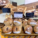 マタクルベーグル - 