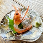 光る海 - 活ボタン海老