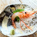 光る海 - 活ボタン海老