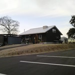 みんなのコーヒー - 昔からある大きな木がいい雰囲気ですね。