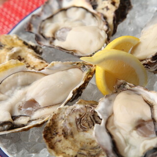 各地の旬の牡蠣を食べ比べ♪個性豊かな味わいをお楽しみください