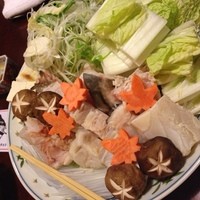 土佐料理 祢保希 銀座店 - クエ鍋！