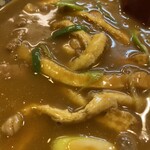 Kagawa - カレーうどん1,300円