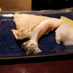 近畿大学水産研究所 - 