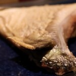 近畿大学水産研究所 - 