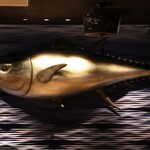 近畿大学水産研究所 グランフロント大阪店 - 