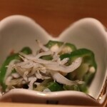 近畿大学水産研究所 - 