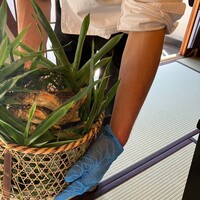 料亭菊水楼 - 