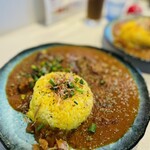 MODECURRY - 