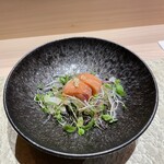 Sushi Tomikawa - 