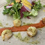 フェリチターレ・ルミーノ - 