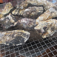 僧伽小野 一秀庵 - まずは、牡蠣をどんどん並べて・・。