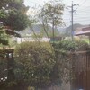 白虎茶屋 - 