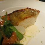 エクアトゥール - 26年2月　アイナメの直火焼き、墨烏賊とソースヴィエルジュ　アップ