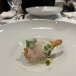 カーブドッチ - 