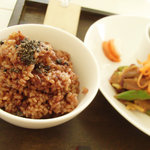 holon - 酵素玄米