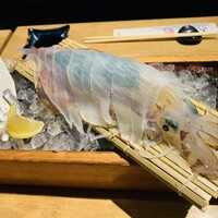 磯ぎよし 天神店 -  磯ぎよし 天神店 -
