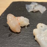 鮨 和こう - ボタン海老