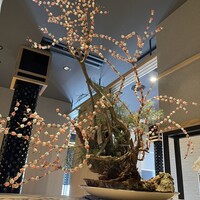 炭火和牛焼肉もうもう亭 広小路店 - 