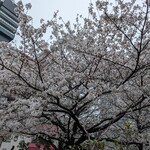 かつれつ四谷たけだ - 