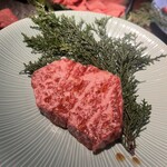 本町肉倶楽部 tongue be - 