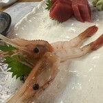 春夏秋冬 活魚料理 北海 - 