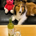 ホテル ビワ ドッグ - お部屋