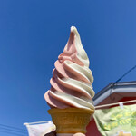 あいすの家 - やっぱ青空にゃソフトクリンね