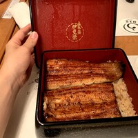 鰻割烹 伊豆栄 本店 -  鰻割烹 伊豆栄 本店 -