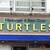 turtles - 外観写真: