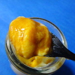 レ ディ ローマ プラス - とろけるバニラカスタードプリン