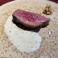 Potoro - 