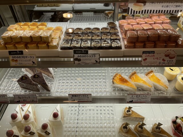 Chat Noir Naikanryokuten